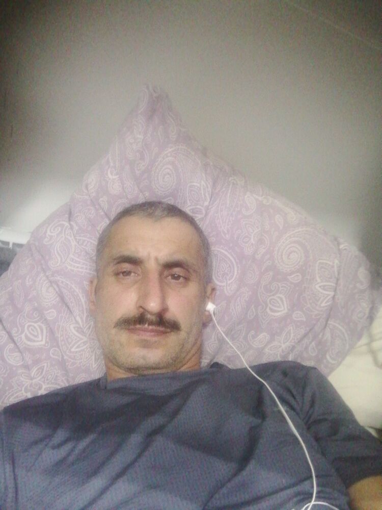  41567744  , 44 ,    