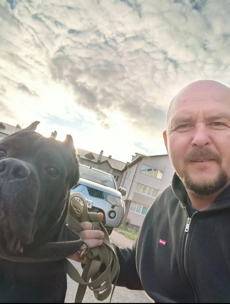  53553234  Vitaly, 46 ,    