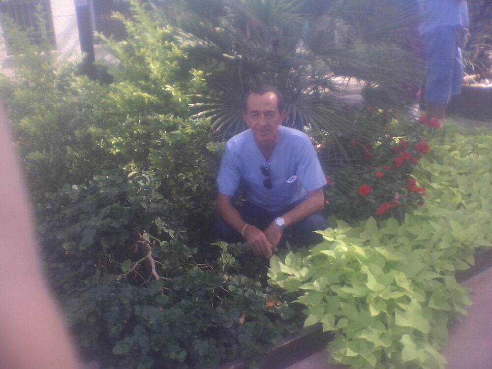  7027464  Arkady, 68 ,    