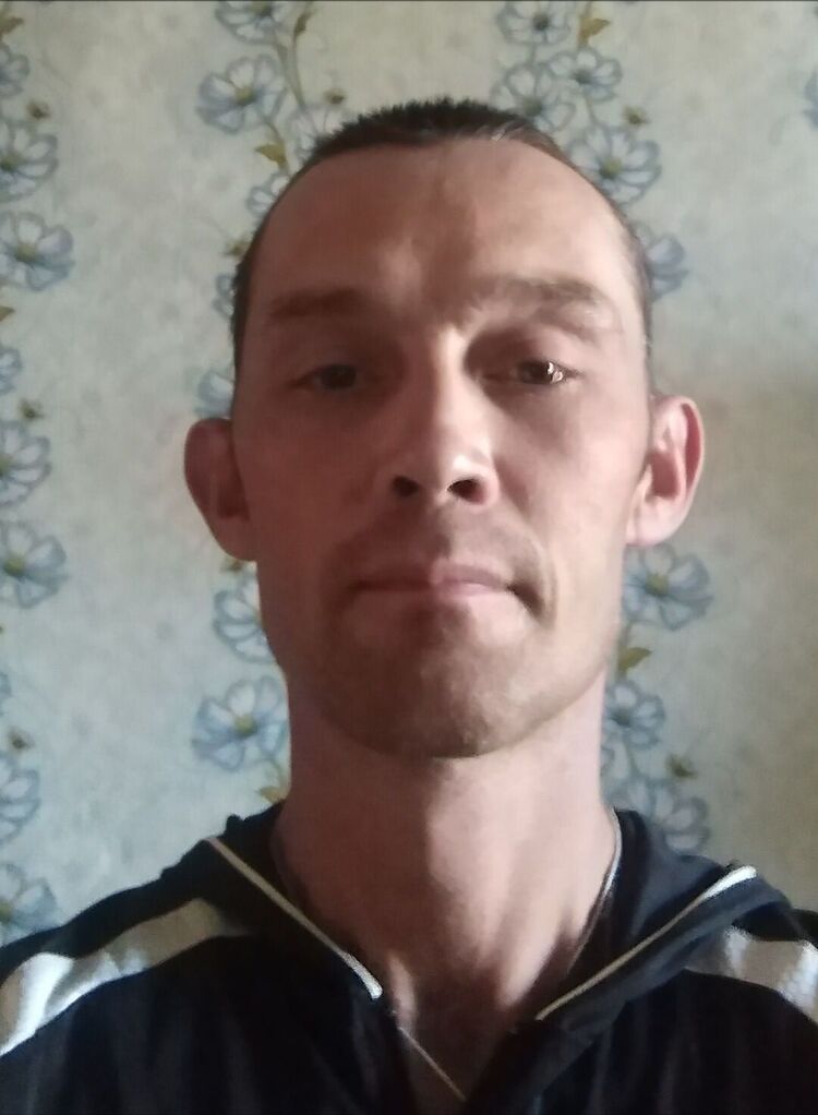  23726384  , 43 ,    