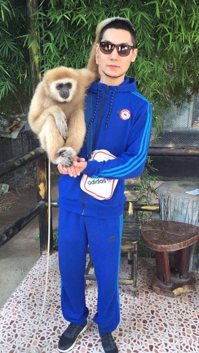 ���������� �����, ���� ������� ������, 29 ���, ������������ ��� ������, ����� � ���������