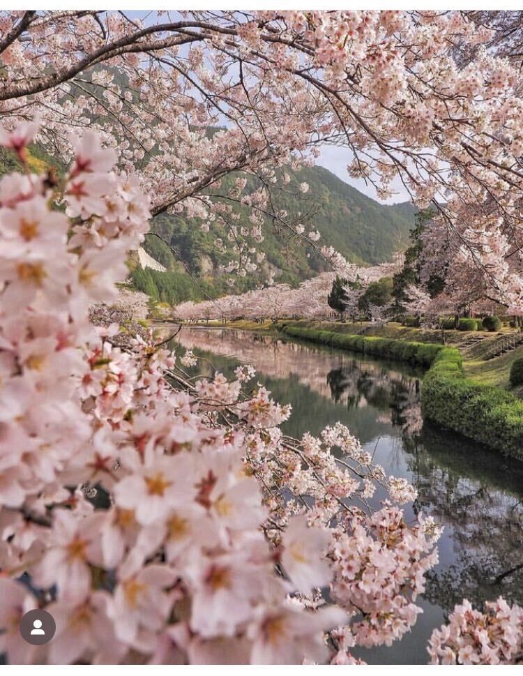 ���� 33481314 ������� �����, 39 ���, ���� ���������� � ����������