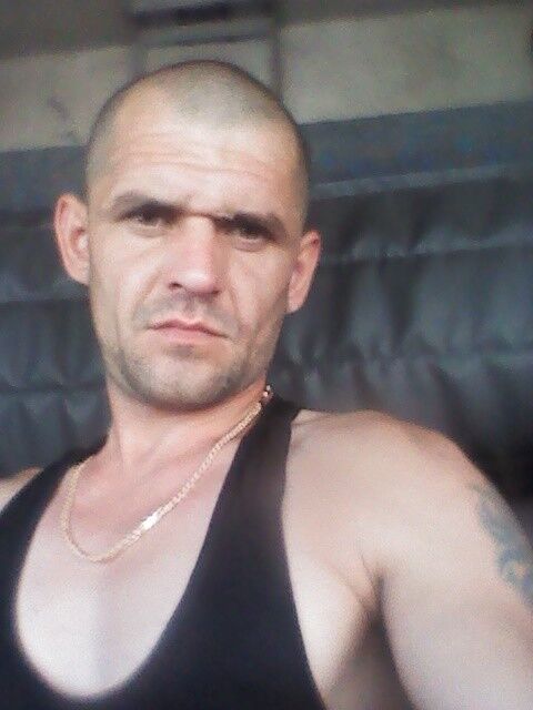  9648644  , 41 ,    