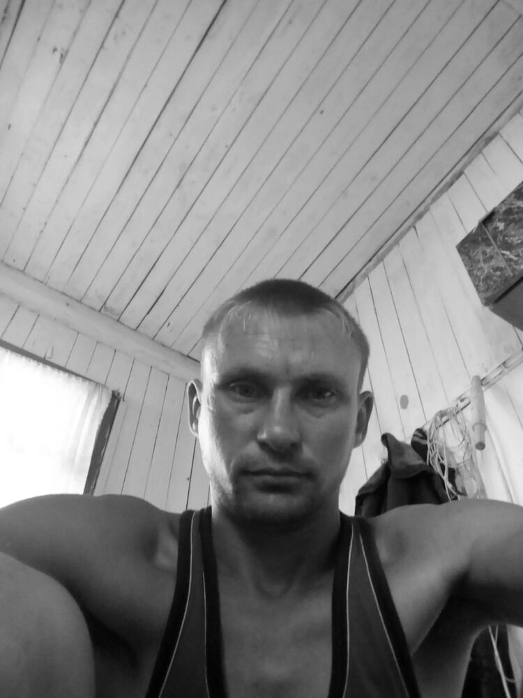  39766114  , 33 ,    