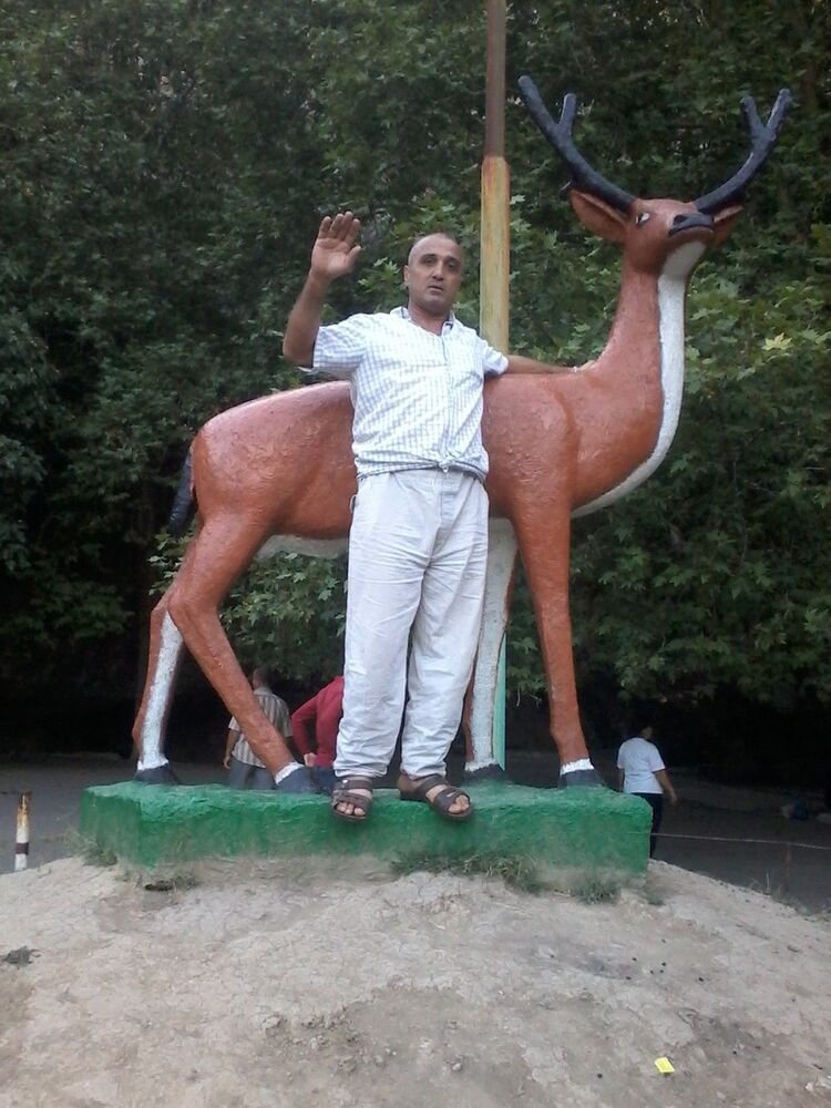 ���� 8404834 ������� ����� ������, 55 ���, ���� ���������� � ����