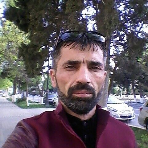  ,   Zaur, 42 ,   