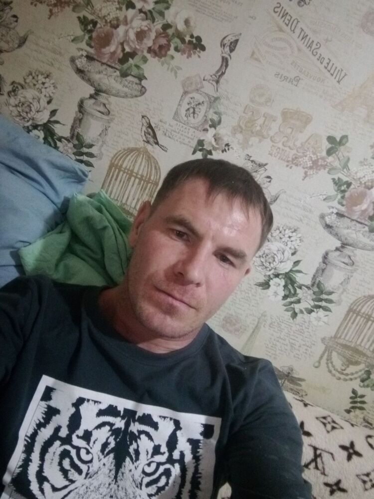  31538574  , 39 ,    