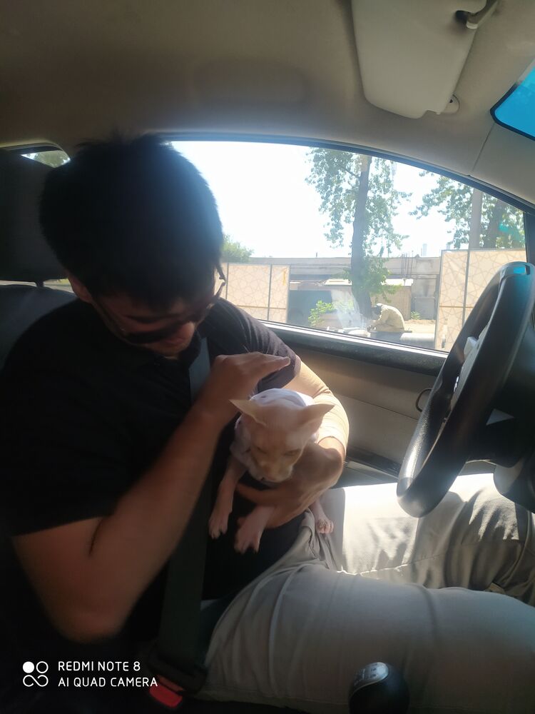 ���� 26658244 ������� Akooy, 32 ����, ���� ���������� � ��������