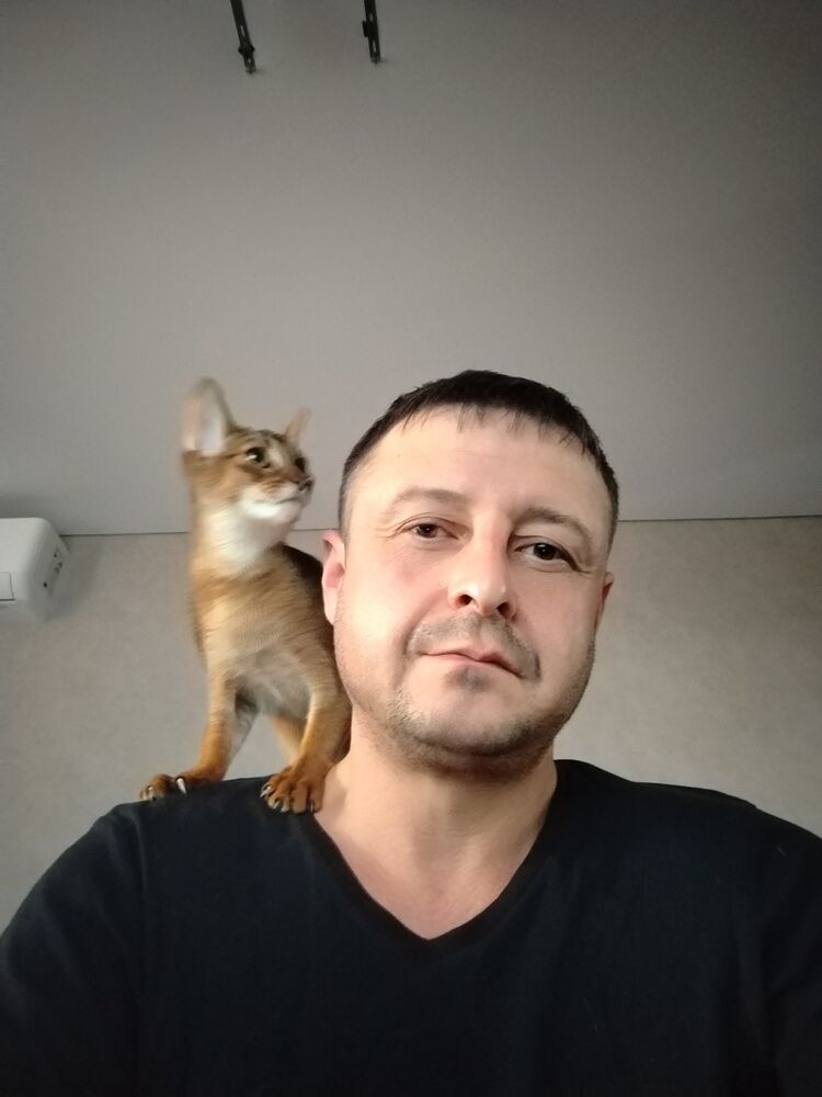  42536384  , 41 ,    