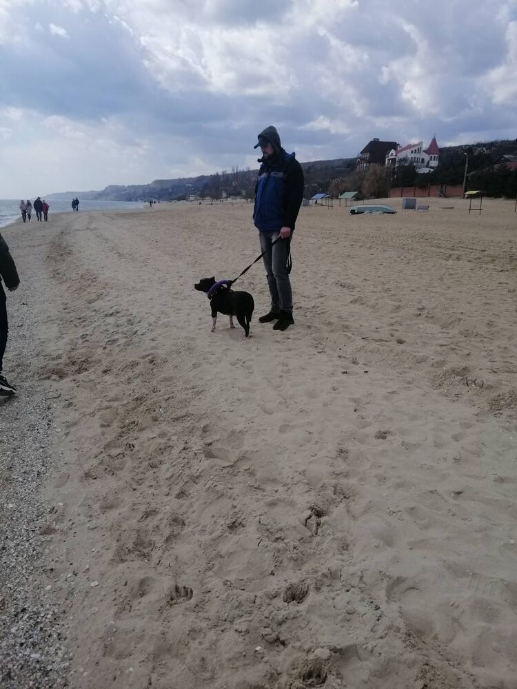 ���� 22999734 ������� �������, 35 ���, ���� ���������� � ���������