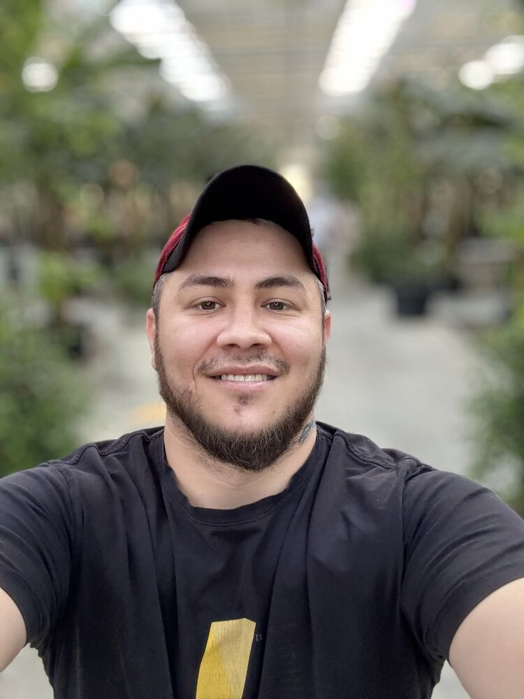  ,   Zafar, 31 ,   ,   