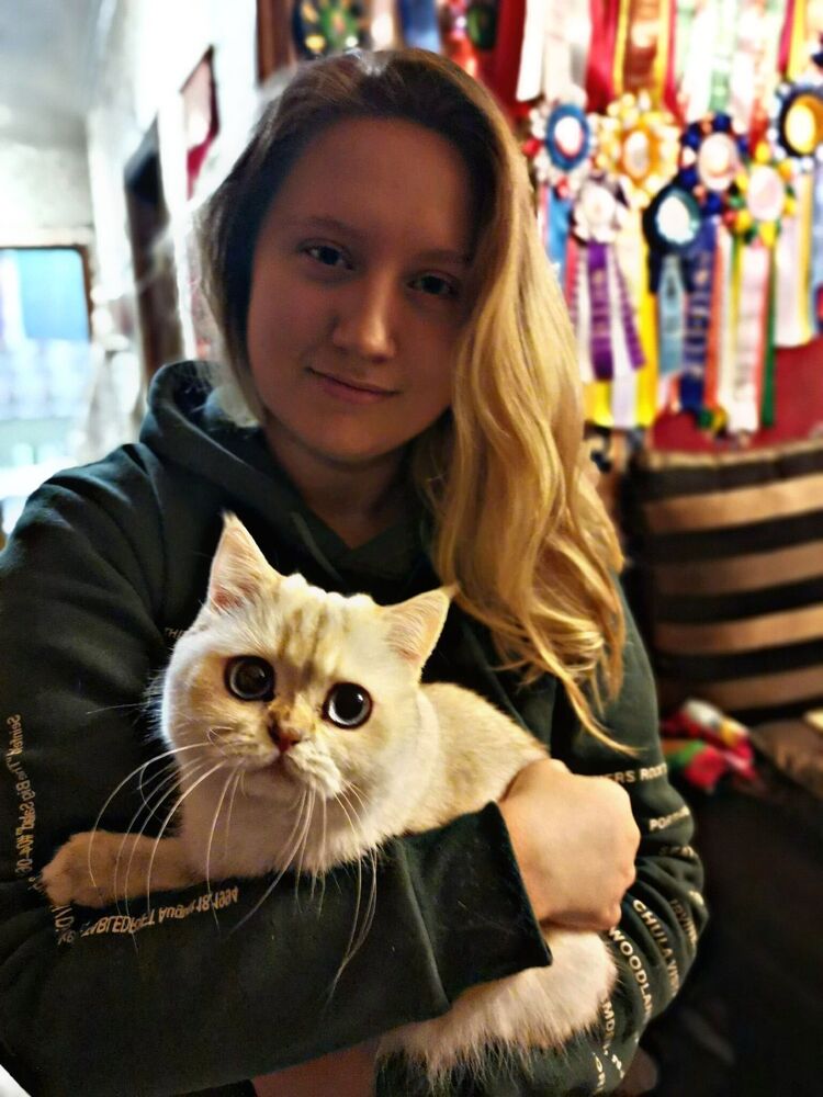 ���������� �������-�����, ���� ������� �����, 24 ����, ������������ ��� ����� � ���������, c�������� ���������, ���������