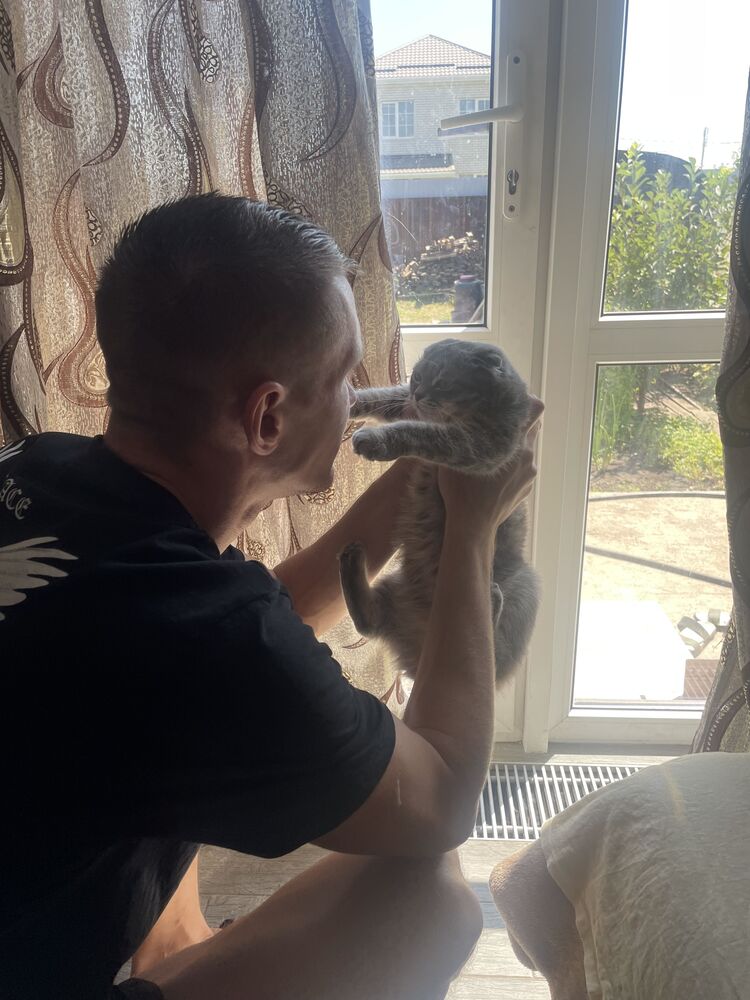 ���������� ���������, ���� ������� ����, 27 ���, ������������ ��� ������, ����� � ���������, c�������� ���������, ���������