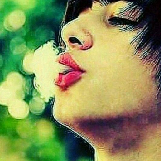  45009854  Shox, 25 ,    