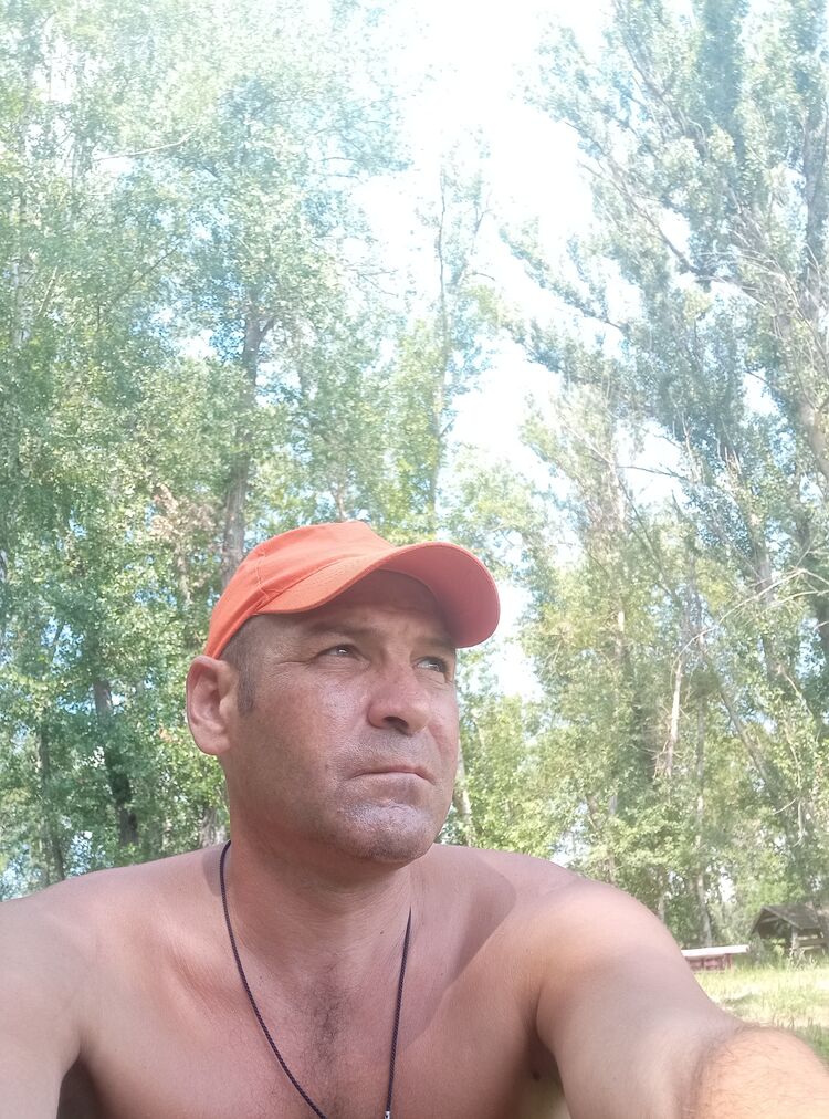 45599504  , 40 ,     