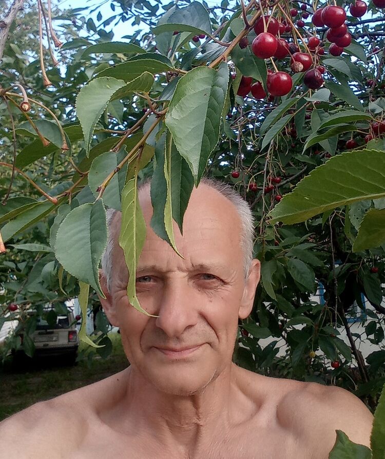  -,   , 66 ,     , c , 