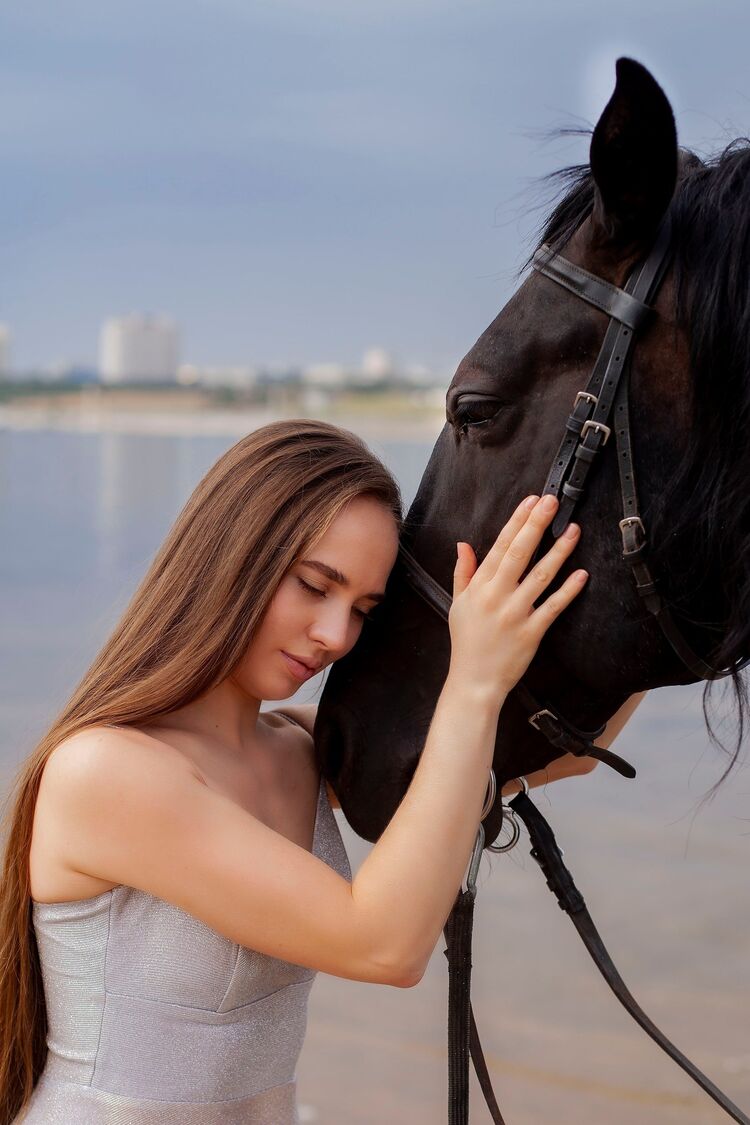 ���������� ���������, ���� ������� �����, 27 ���, ������������ 