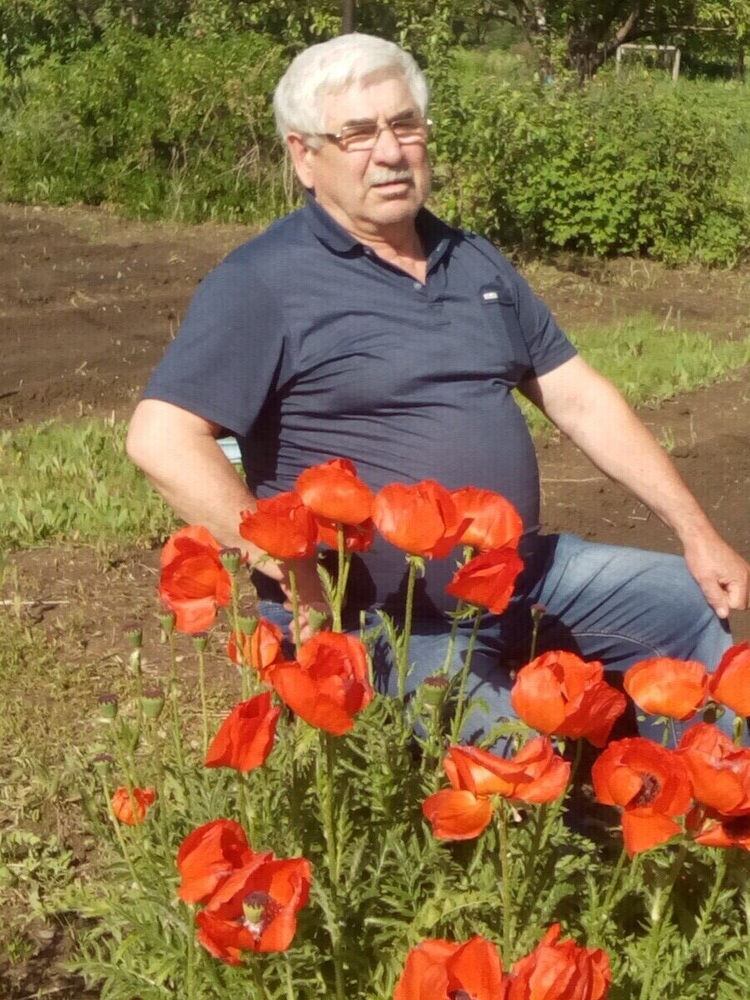  20888854  , 61 ,    