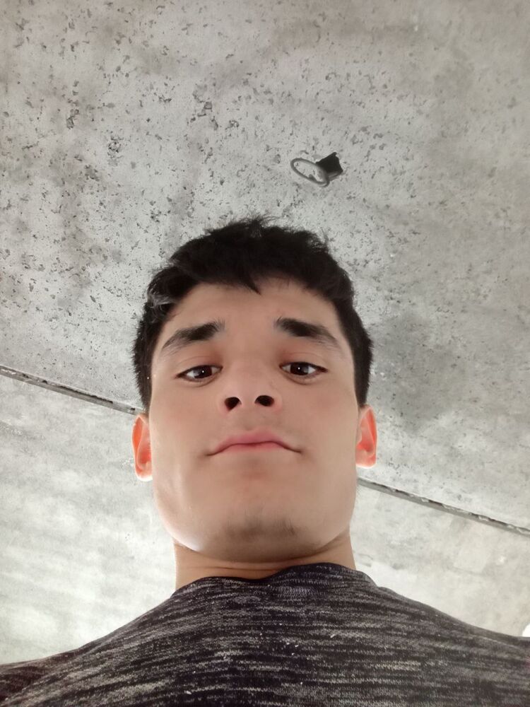  41228154  , 24 ,    