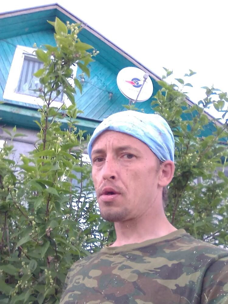  45409294  , 38 ,    