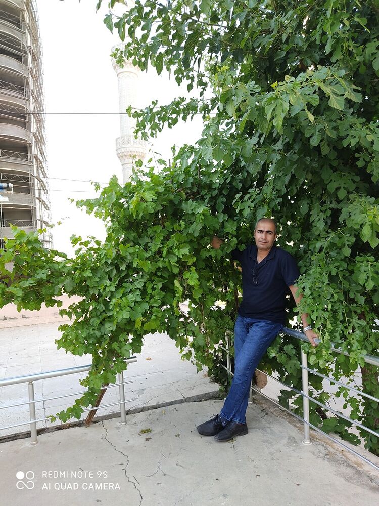  Cesme,   Kocer, 44 ,   ,   , c 