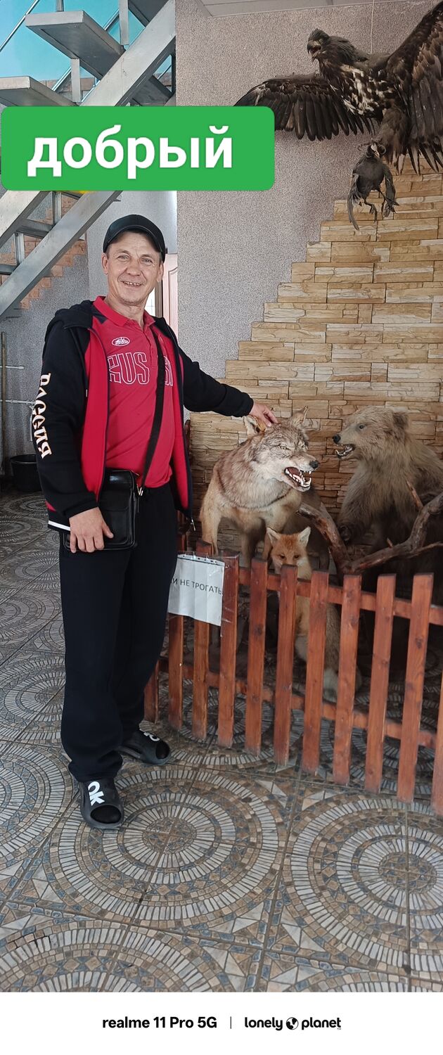  54428734  , 48 ,    -