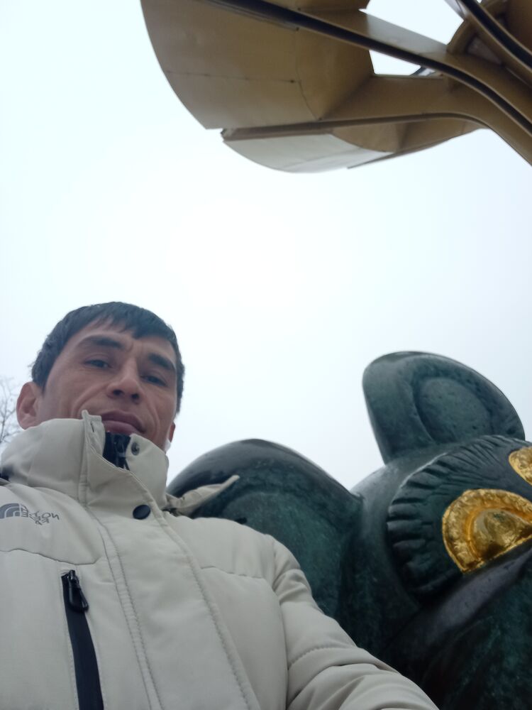  ,   , 43 ,   ,   