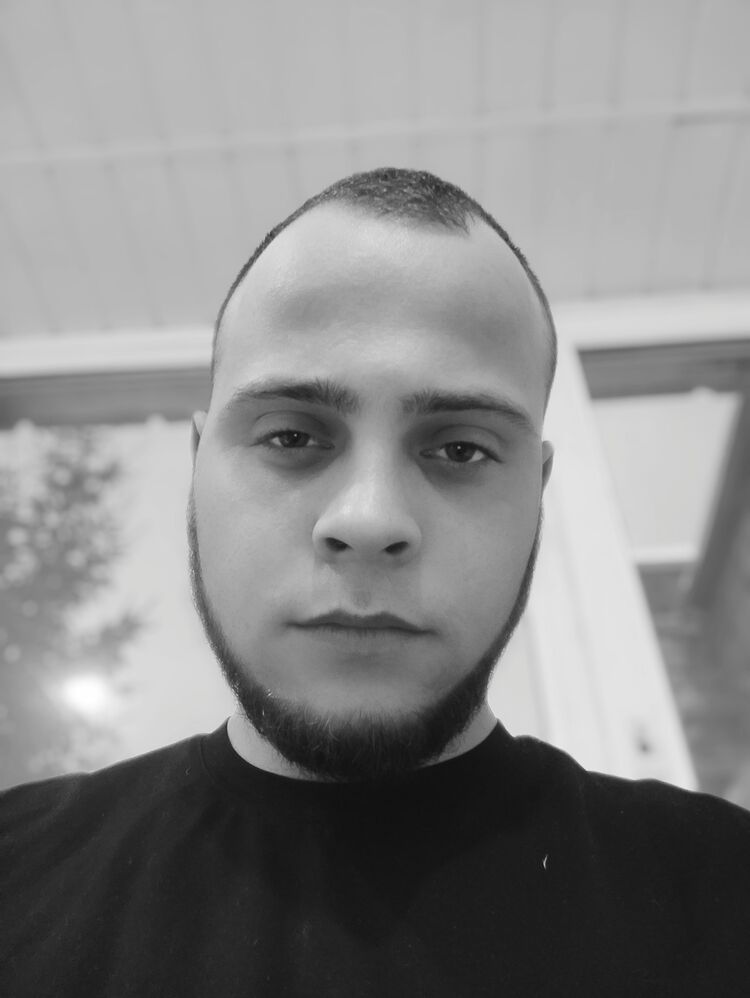  42316844  , 24 ,    -