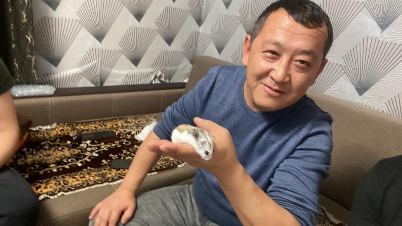 ���� 52272254 ������� ����, 37 ���, ���� ���������� � ���������