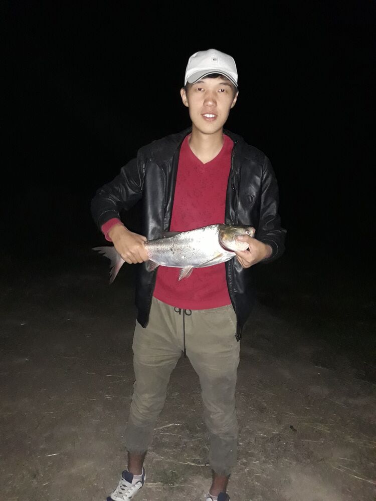 ���� 25819514 ������� ����, 26 ���, ���� ���������� � �������