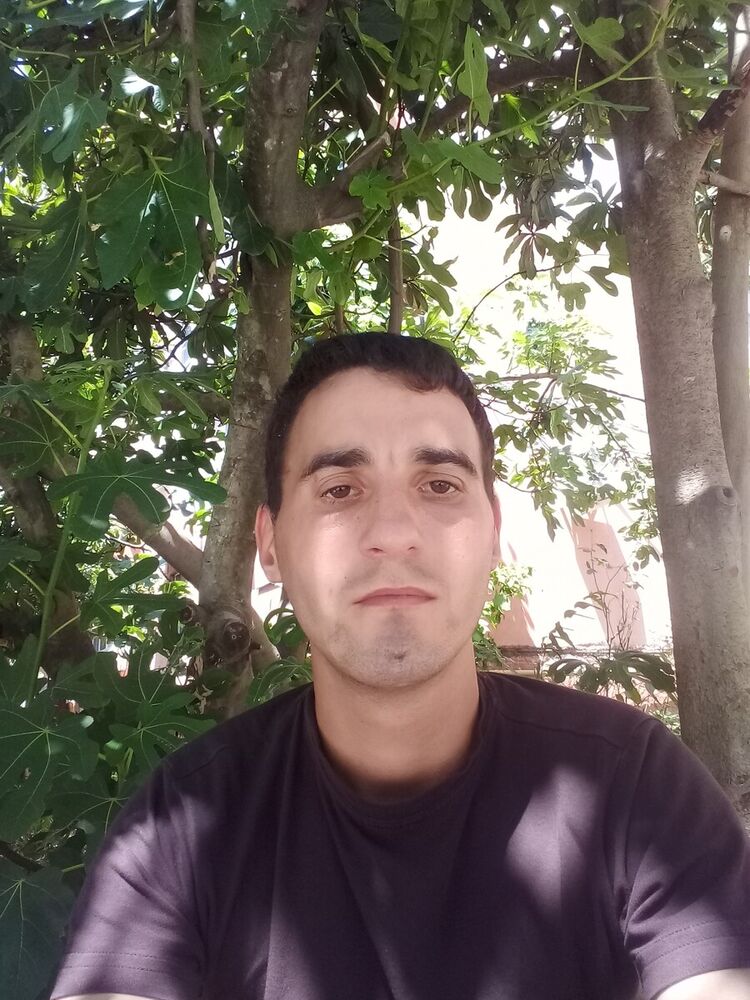 ���� 20397594 ������� �����, 28 ���, ���� ���������� � �����������