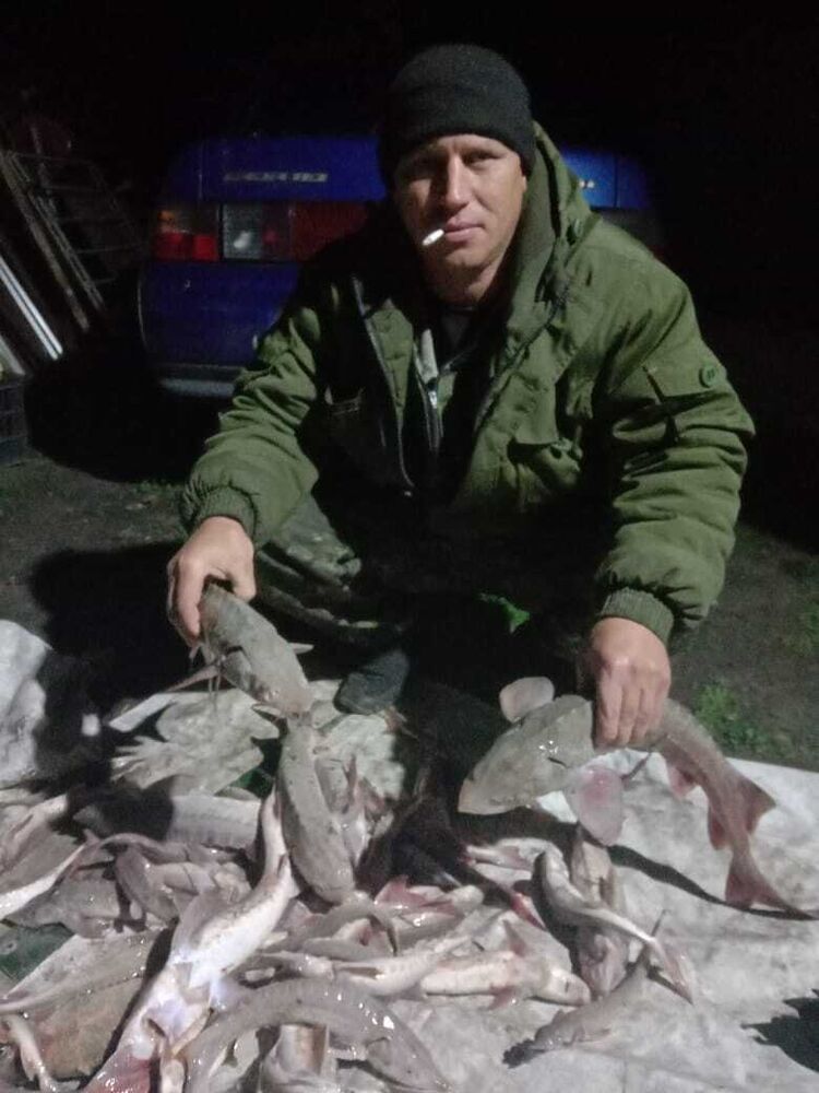 ���������� �������������, ���� ������� ����, 39 ���, ������������ ��� ������, ����� � ���������