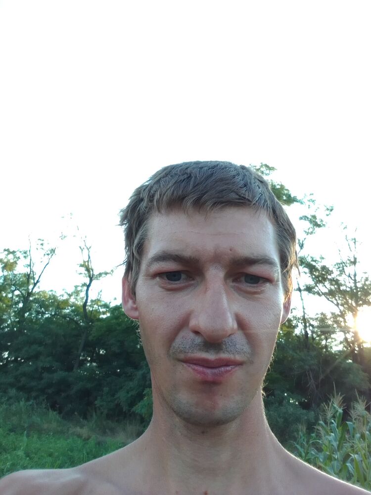  28081424  , 36 ,    --