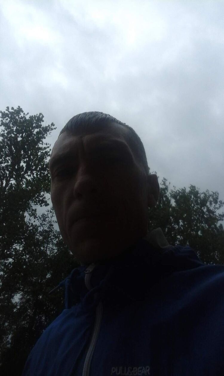  29169524  , 43 ,    