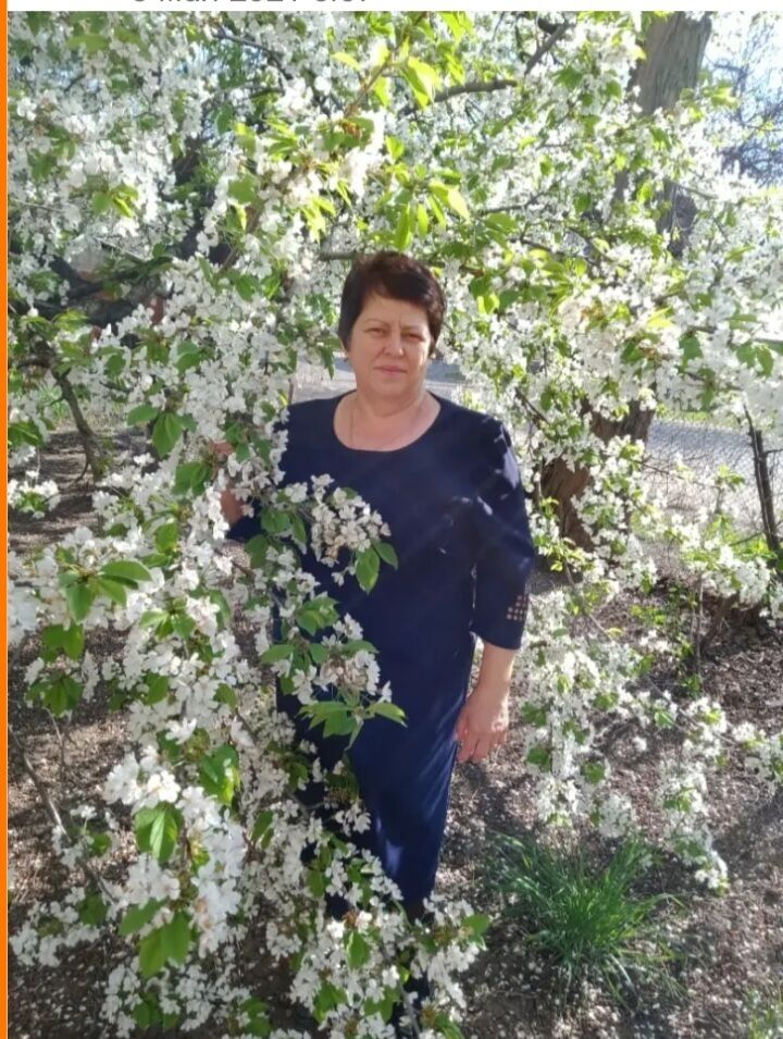 ���� 55855394 ������� �������, 64 ����, ���� ���������� � ����������