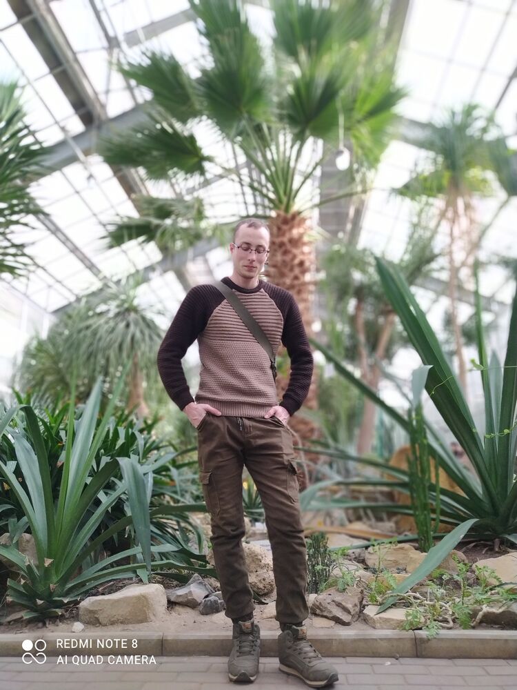 ���� 25058064 ������� Swappi, 31 ���, ���� ���������� � �������