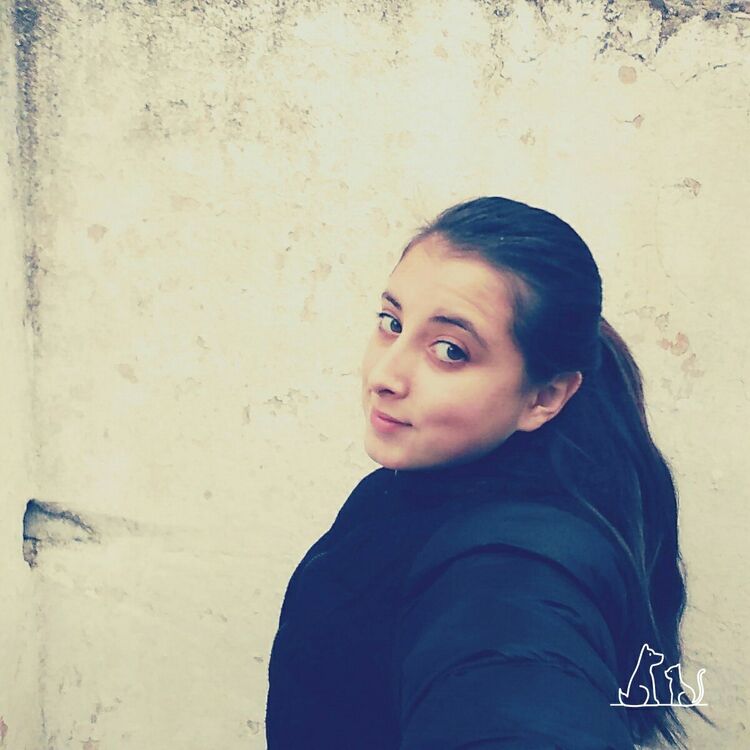 ���������� ������, ���� ������� ������, 24 ����, ������������ ��� ������, ����� � ���������, c�������� ���������