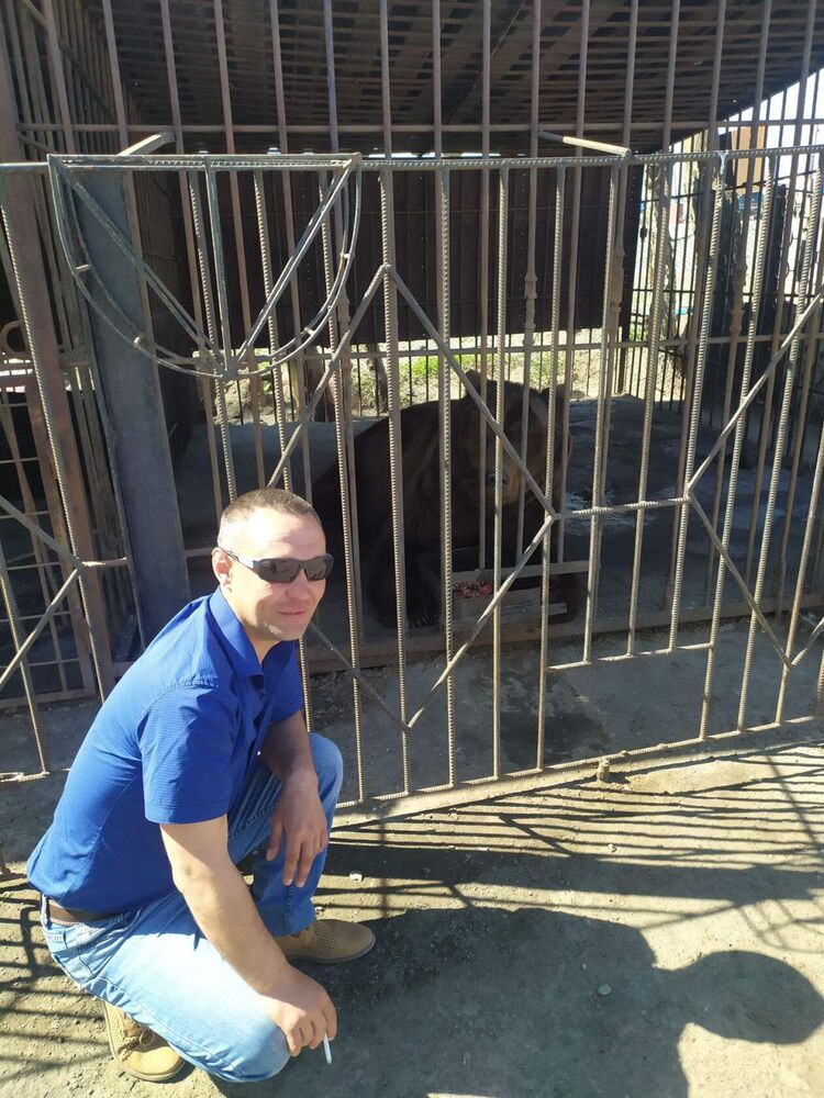 ���������� ����, ���� ������� �������, 38 ���, ������������ ��� ������, ����� � ���������, c�������� ���������, ���������