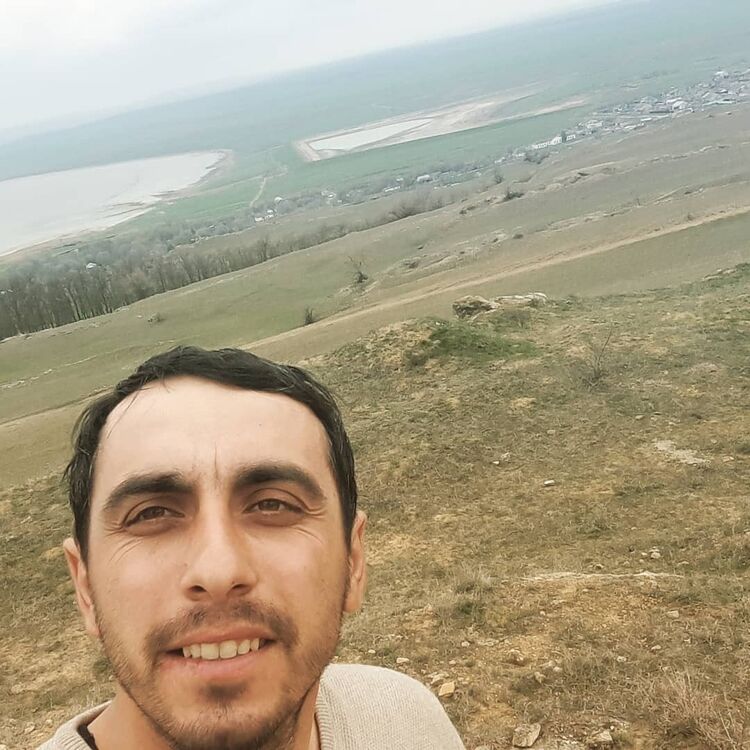  23024294  , 33 ,    
