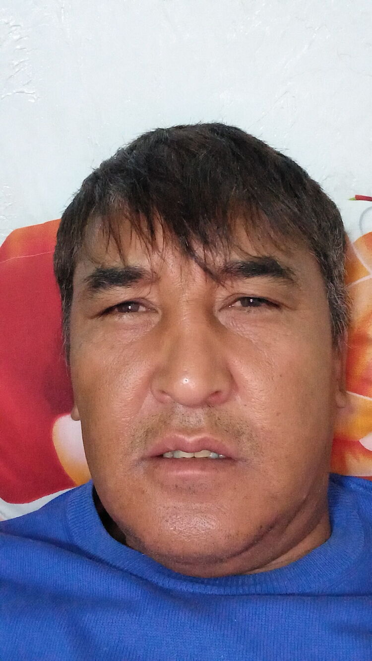 ���� 25524204 ������� Aidos matai, 50 ���, ���� ���������� � ������