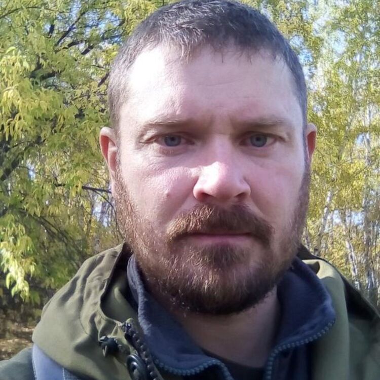 ���� 43741084 ������� ������, 43 ����, ���� ���������� � �����