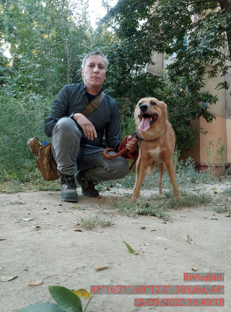 ���� 55326094 ������� �������, 48 ���, ���� ���������� � ��������