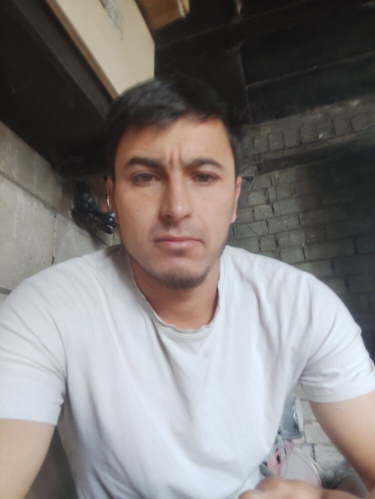  42633644  , 33 ,    