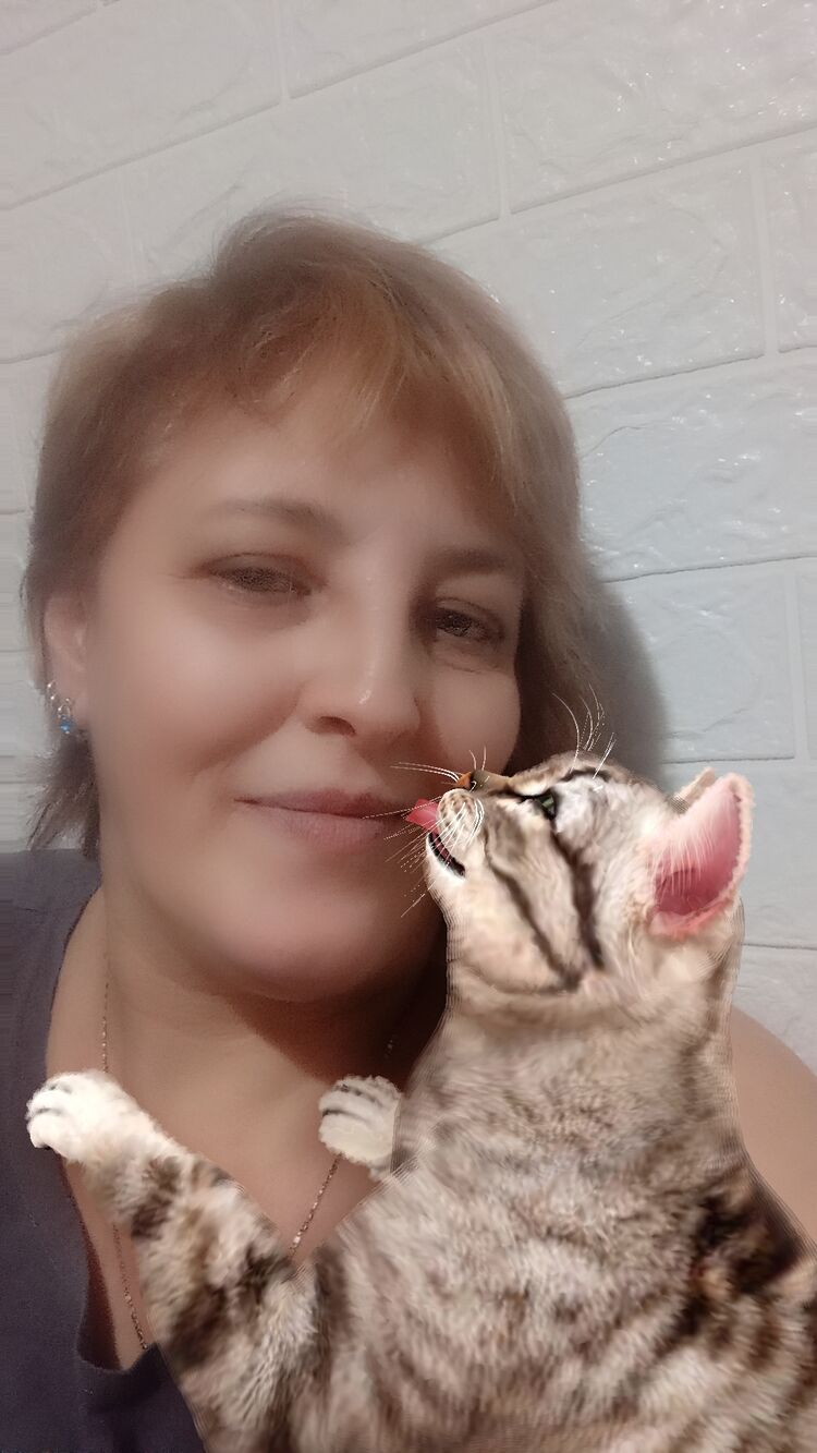 ���������� �����-���������, ���� ������� �����, 47 ���, ������������ ��� ���������