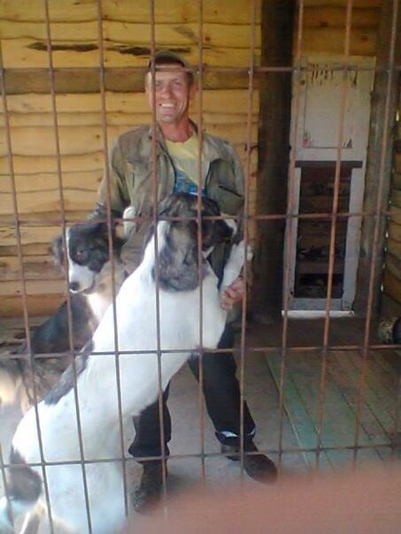  29475414  Nikolay, 46 ,    