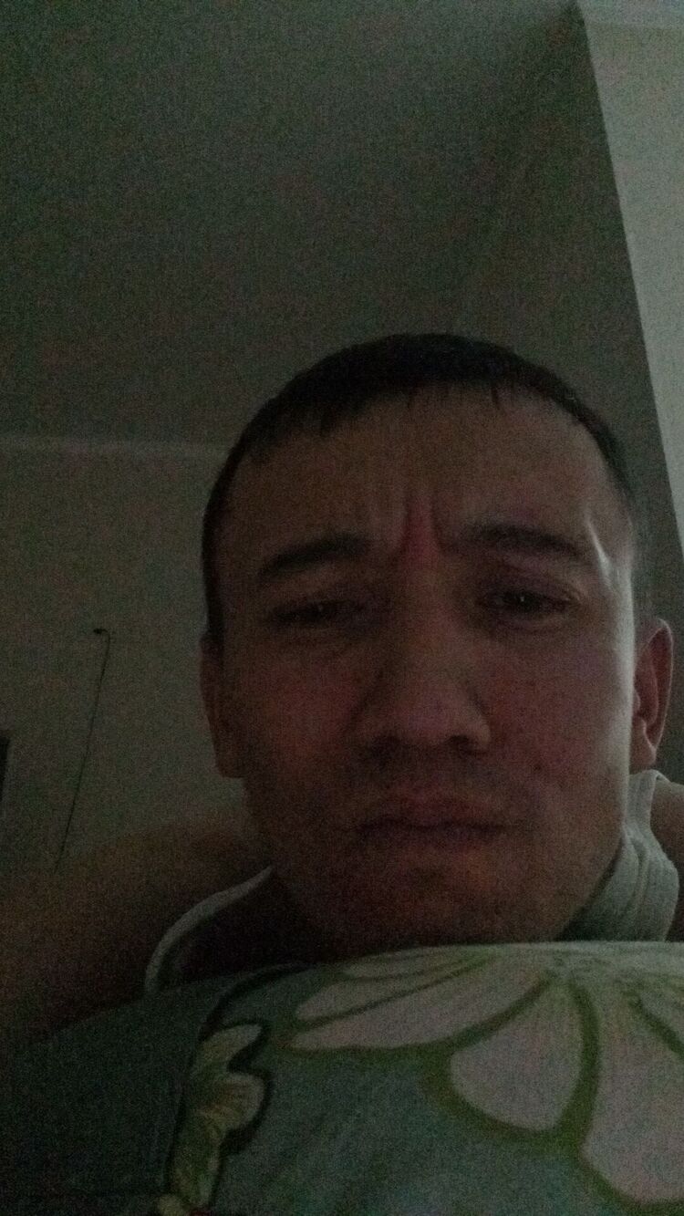  31351524  , 33 ,    