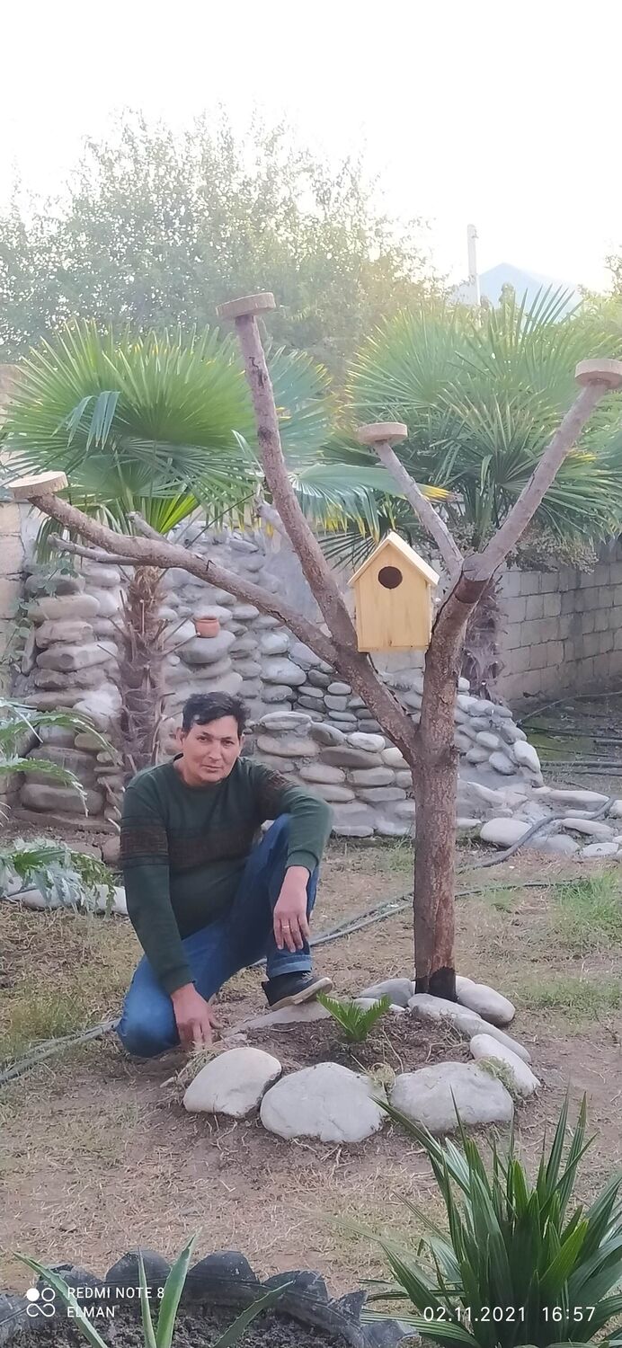 ���� 24304714 ������� Elman, 44 ����, ���� ���������� � ����