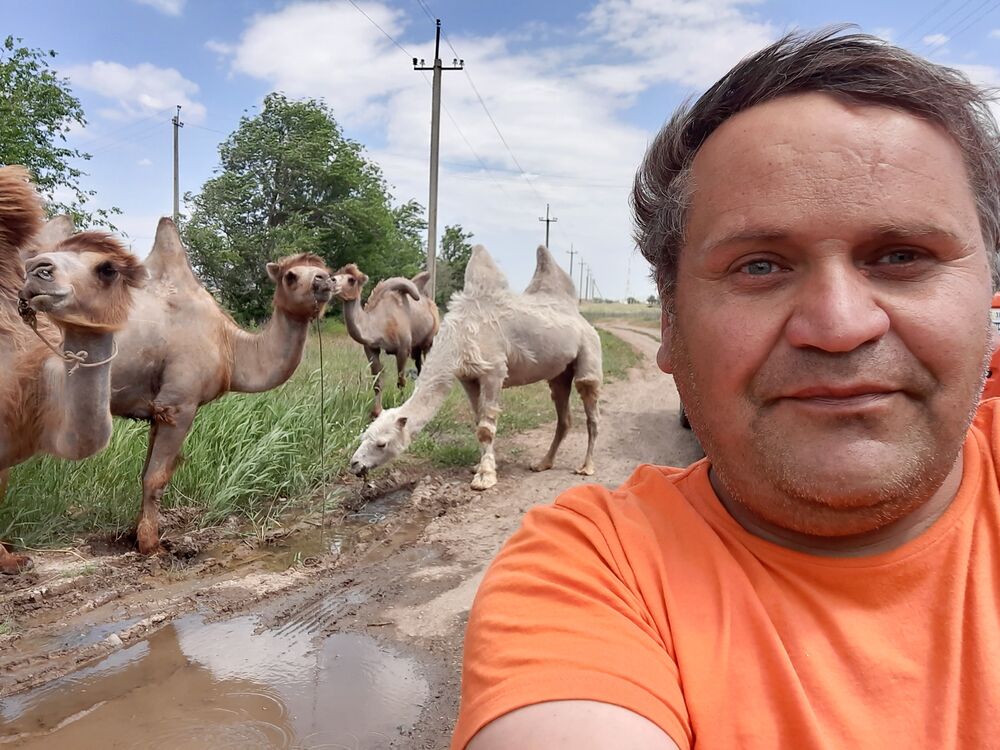  ,   , 44 ,   ,   