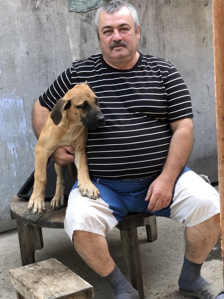 ���� 55068954 ������� �����, 60 ���, ���� ���������� � �������