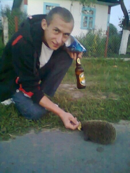 ���������� ����, ���� ������� ����, 32 ����, ������������ ��� ������, ����� � ���������, c�������� ���������